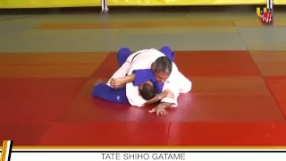 UMH - JUDO - INMOVILIZACIONES