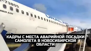 Кадры с места аварийной посадки самолета в Новосибирской области