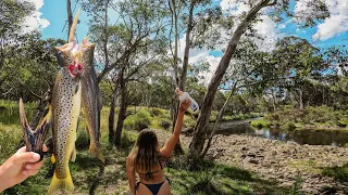 Epic FREE camps & insane trout fishing | Victoria High Country