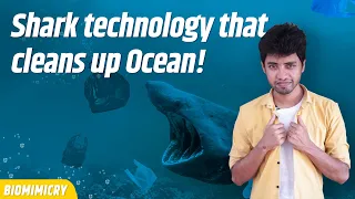 Shark technology that cleans up OCEAN | Biomimicry | Tamil | LMES