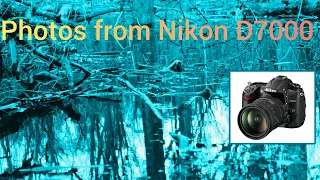 Photos from Nikon D7000