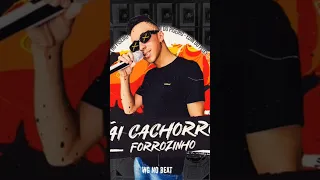 Ai Cachorro [Forrozinho] Edin Do Piseiro