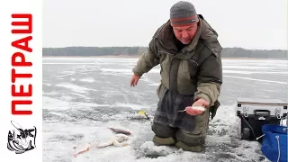 Ловля ПЛОТВЫ ЗИМОЙ Зимняя рыбалка на мормышку Видео Уроки