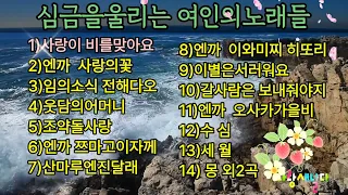 527  정말 좋은곡 들어갑니다   https://youtu.be/XVkqiXSKjgk