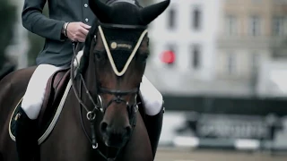 In Your Eyes-Robin Schulz (feat. Alida) | Equestrian sport