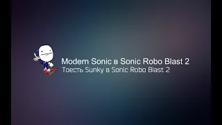 Sunky в Sonic Robo Blast 2