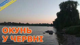 Спінінгова риболовля на ставку в селищі Мар’янівка! Ловля окуня на ставку в червні! На що клює окунь