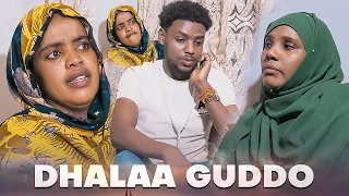 🔴Faya Jiru | Dhalaa Guddo | New Diraamaa Afaan Oromo