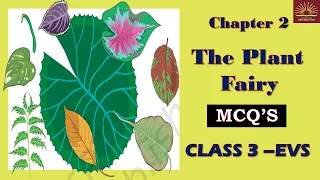 The Plant Fairy -Chapter 2|| MCQ || WORKSHEET ||Class 3-EVS || KVS || NCERT ||CBSE||