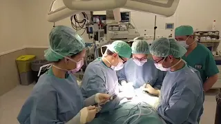 Angiologia y Cirugia Vascular HULA
