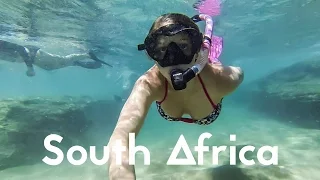 Scuba Diving Aliwal Shoal - South Africa