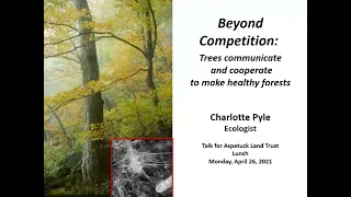 Beyond Competition: How Trees Communicate and Cooperate to Make Healthy Forests