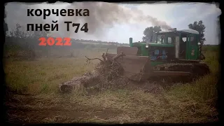 корчевание пней яблони трактором Т 74  и экскаватором юмз  2022