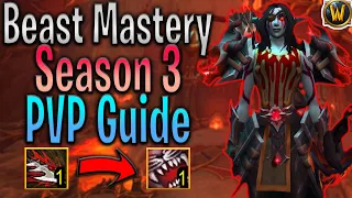 The Ultimate PVP Build for Beast Mastery Hunter in Season 3 of Dragonflight!! | Patch 10.2 |