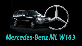 Замена штатных галогеновых линз на билед модули ILLUM GS20/покраска масок на Mercedes-Benz ML w163