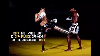 Combo: Inside Leg Kick, Straight Punch