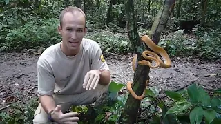 30 intresting animal moments filmed in the Amazon #snakes #animals #birds #forest #videos