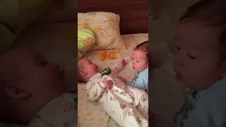 Общение двойняшек. Двойня 4 месяца. 4 month old twins talking to each other.