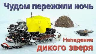 НАПАДЕНИЕ ДИКОГО ЗВЕРЯ НА РЫБАКОВ/СТРАШНАЯ НОЧЕВКА В ПАЛАТКЕ или ЧУДОМ ПЕРЕЖИЛИ НОЧЬ/Рыбалка в горах