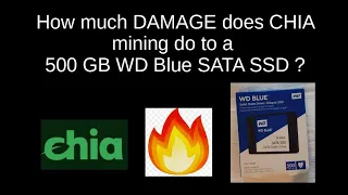 How much damage does Chia mining do to a 500GB WD Blue SATA SSD drive