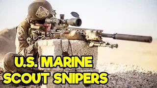 US MARINE SCOUT SNIPERS 2020