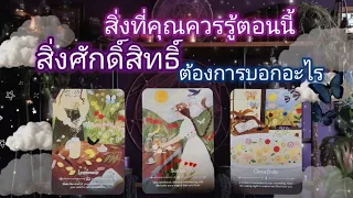 Pick a card ep586🍀🎡✨️🦋สิ่งที่คุณควรรู้ตอนนี้สิ่งศักดิ์สิทธิ์ต้องการบอกอะไร🦋🍀✨️🎡