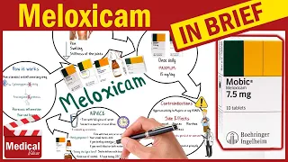 Meloxicam ( Mobic 7.5 & 15 mg ): What is Meloxicam Used For, Dosage, Side Effects & Precautions?