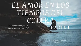 El Amor de toda una vida. El amor en los tiempos de cólera Parte I