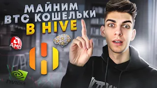 Майнинг биткоин кошельков в Hive OS! Добываем кошельки на GPU