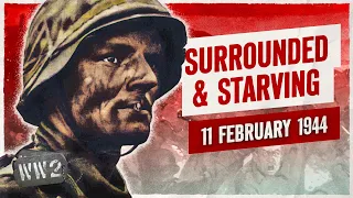 Week 233 - German Desperation in Korsun Pocket - February 11, 1944