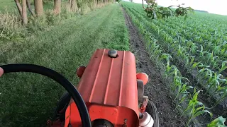 Mowing with the Power King
