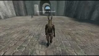 NINJA BUNNIES!!! (Overgrowth Part 1)