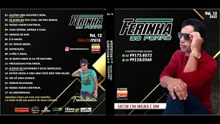 FERINHA DO FORRÓ VOLUME 12 CD COMPLETO 2022