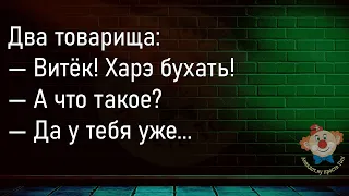 🔥Декан Спрашивает У Абитуриента...Большой Сборник Смешных Анекдотов,Для Супер Настроения!