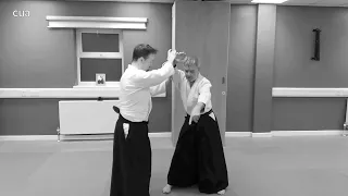 Aikido  irimi nage