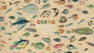 Cosmo Sheldrake - Linger Longer (Instrumental)