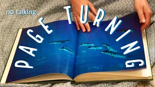 🐳 WHALES 🐋 SEALS 🦭 DOLPHINS 🐬 vintage book - asmr page turning (no talking) 🌊🌊🌊