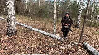 Жизнь в деревне, заготовка дров