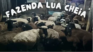 DURANTE A TRAVESSIA PASSAMOS NA FAZENDA LUA CHEIA - CAPÃO ALTO - SANTA CATARINA