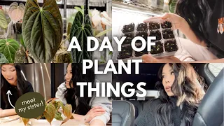 A day of plant things ✨ feat. my sister! Checking props, garden centre visit, and a quick repot 🖤