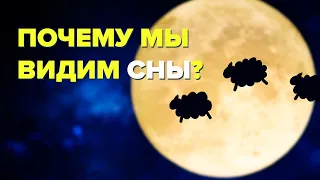 ПОЧЕМУ МЫ ВИДИМ СНЫ? КАКОЙ СМЫСЛ В НОЧНЫХ СНАХ? [TED-Ed]