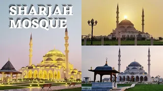 Sharjah Mosque | The Emirate's Largest Mosque | Inside and Outside Tour