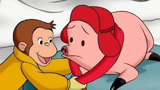 George aide un cochon 🐵 Georges le Petit Singe 🐵 Dessins Animés