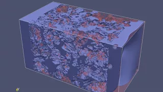 Pore Scale Fluid Simulation