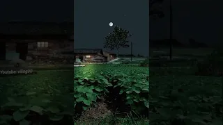 pedesaan di malam hari part 1