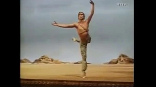 SOLO MALE ADULT | Le Corsaire Ali variation