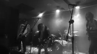 Viboras - Wrong (live @ Splinter club, Parma)