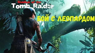 Tomb Raider "Прохождение-бой с леопардом" #2