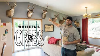 Whitetail Cribs: Nice Michigan Whitetails to Giant Iowa Bucks & A Hunting Story You WON'T Forget