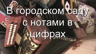 В городском саду с цифрами